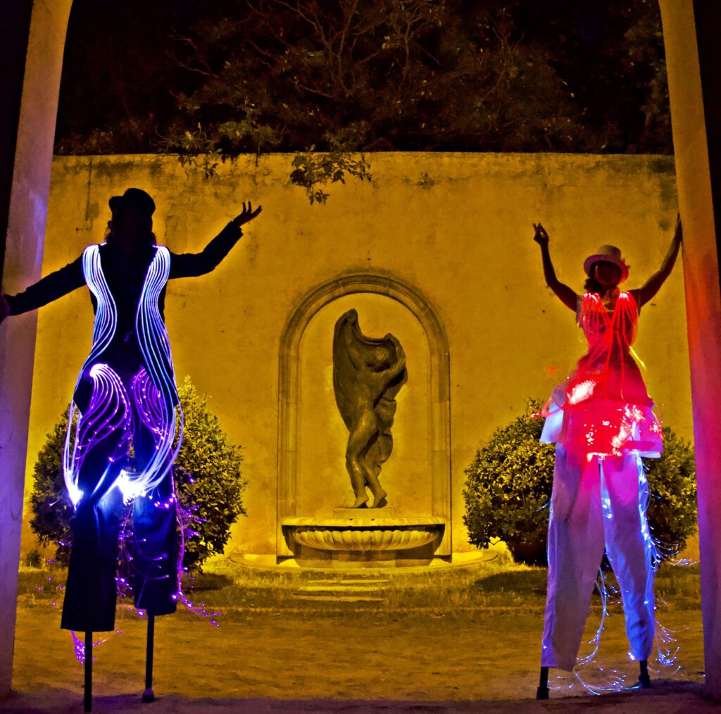 Zancudos de gala para bdas y eventos